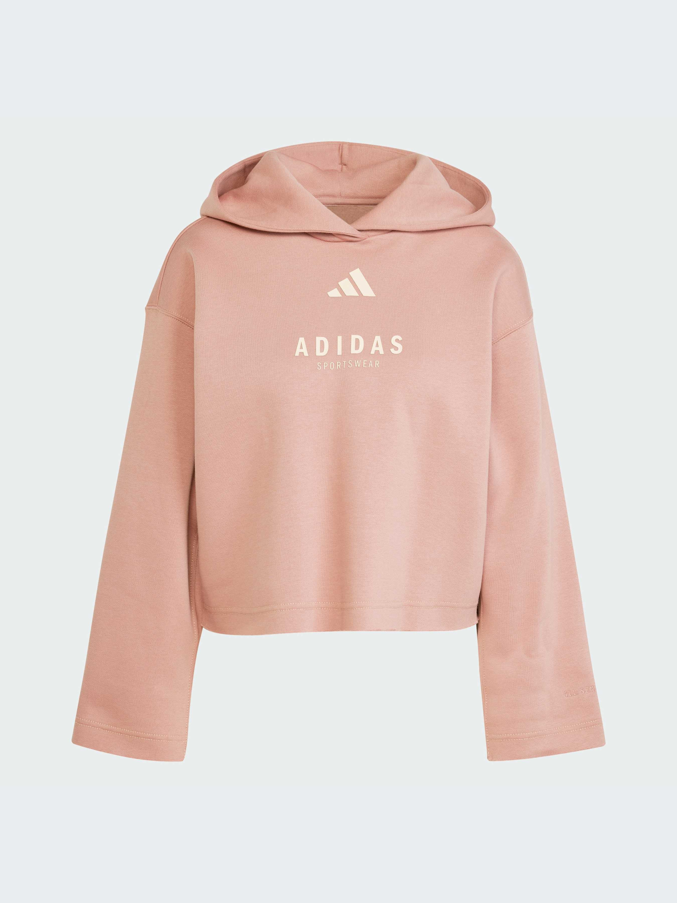 Худи и свитшоты Adidas модель JJ4518-KZ Фото