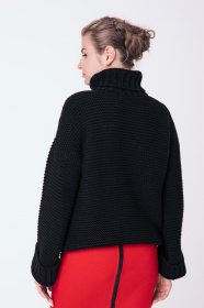 Свитер Sewel модель SW537010000 Фото