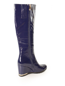 Сапоги It-girl модель C9127859-1990AR Фото