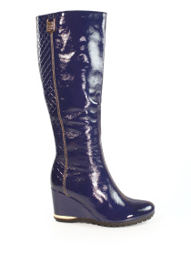 Сапоги It-girl модель C9127859-1990AR Фото