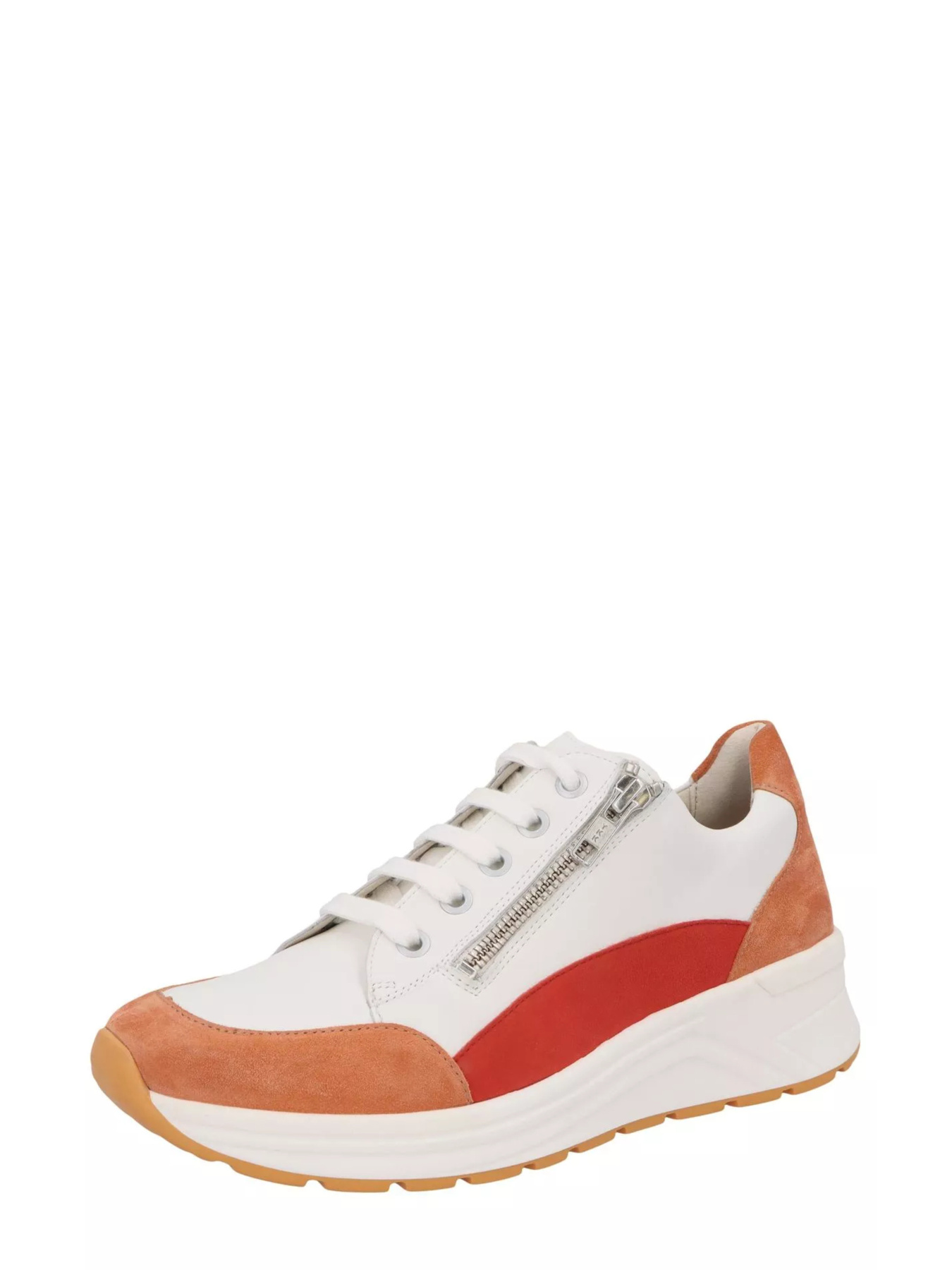 Кросівки Solidus Модель 7 59075 50209 Фото