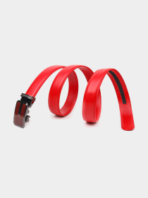 Ремень Vintage модель bag24_20220 Фото