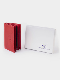 Візитниця ST Leather Accessories модель bag24_19214 Фото