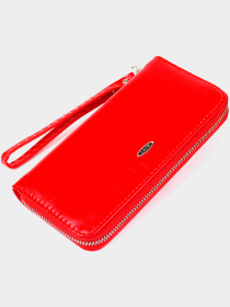 Кошелек Kivi модель bag24_19041 Фото