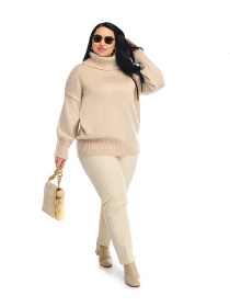 Светр SVTR модель 4435powderWSWTSVTR Фото