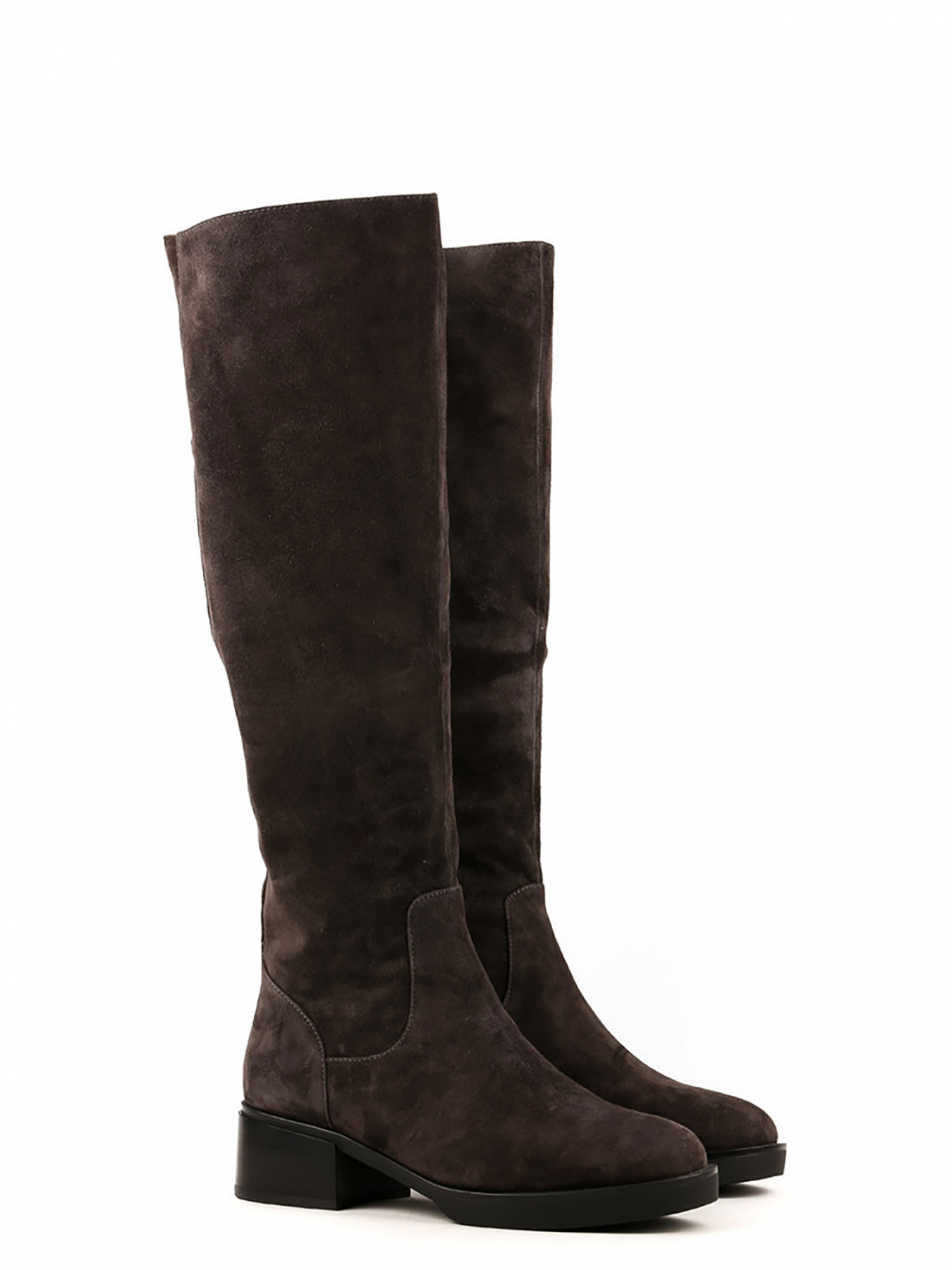 Сапоги Sasha Fabiani модель 00000011010 Фото