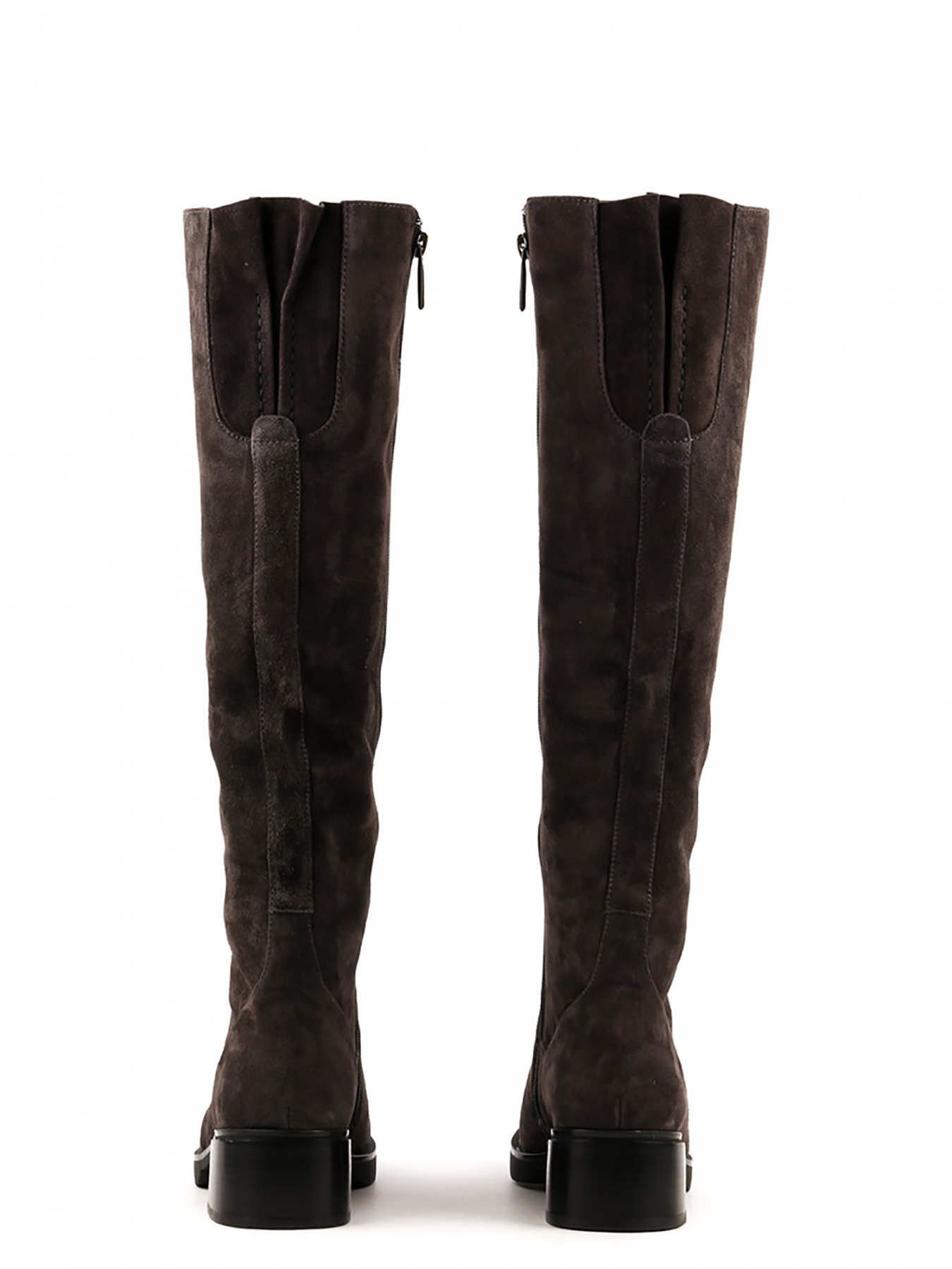 Сапоги Sasha Fabiani модель 00000011010 Фото