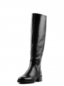 Сапоги Sasha Fabiani модель 00000011005 Фото