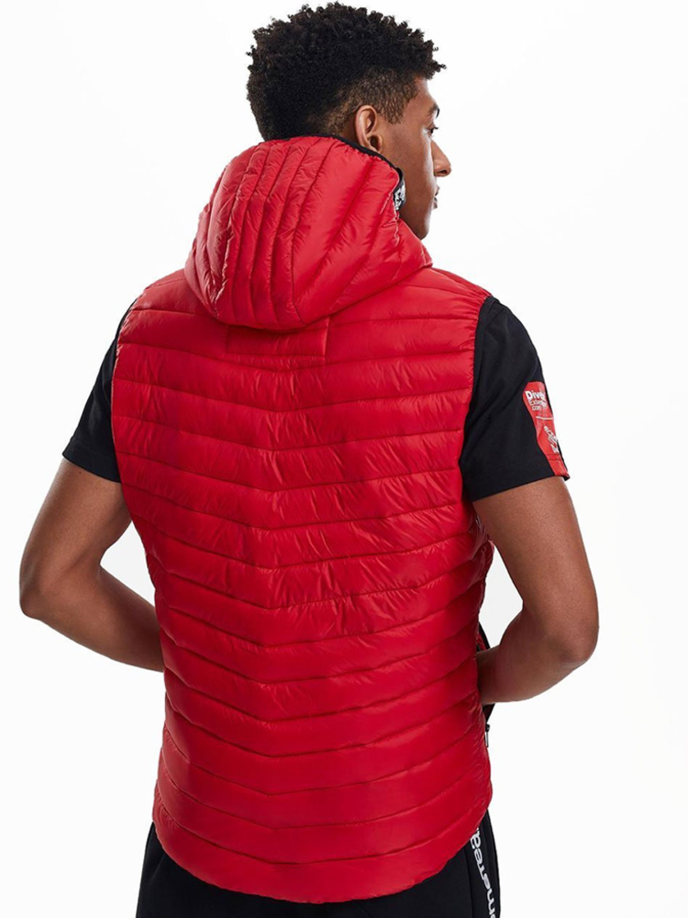 Утеплений жилет DIVERSE Dext Dkr Alger модель 10036199 Фото