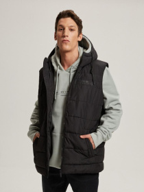 Жилет с утеплителем DIVERSE Ervestom модель 10042687 Фото