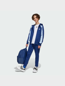Рюкзак Adidas модель IS7049 Фото