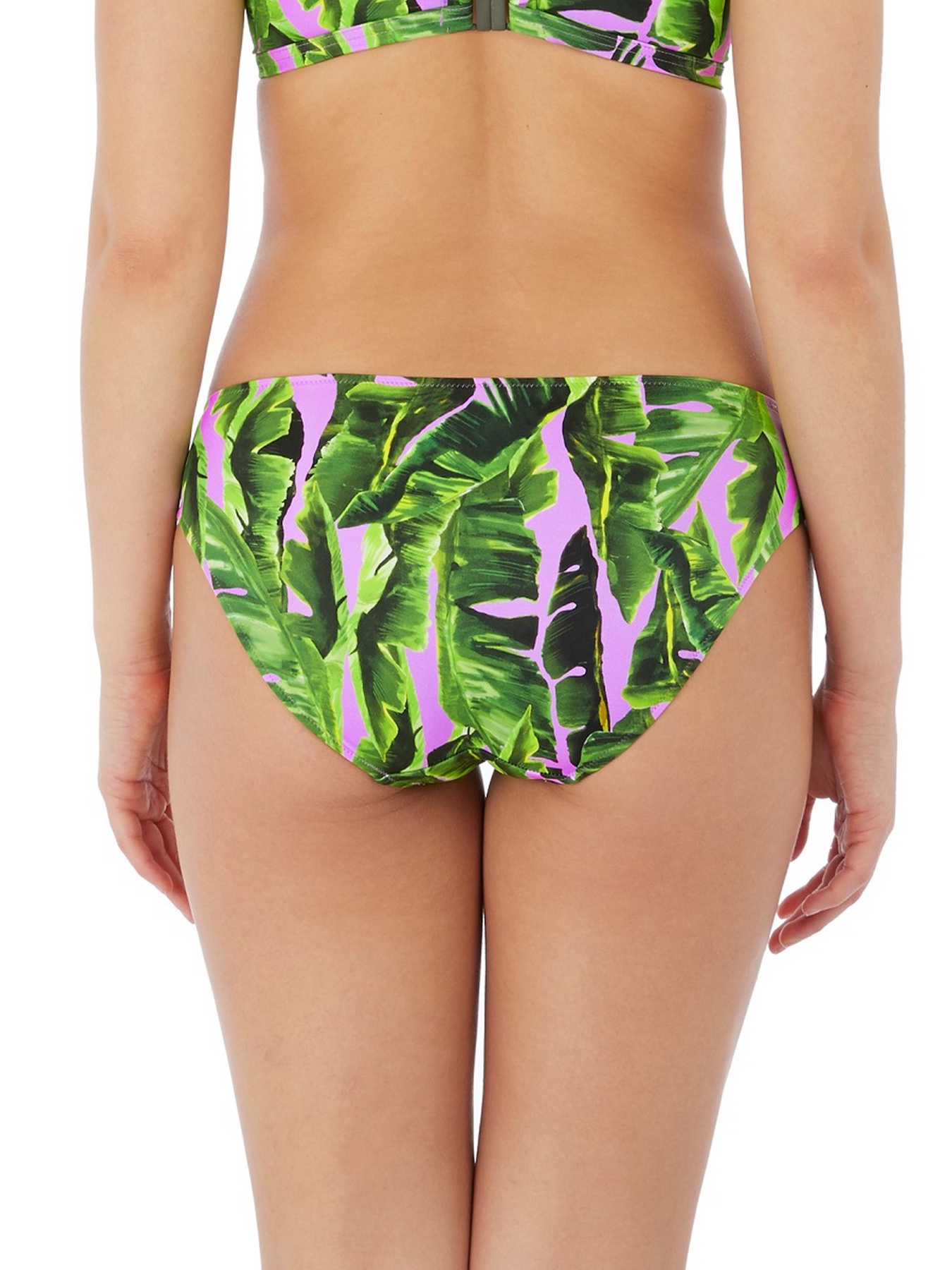 Низ купальника Freya Jungle Oasis модель 6843CAS Фото