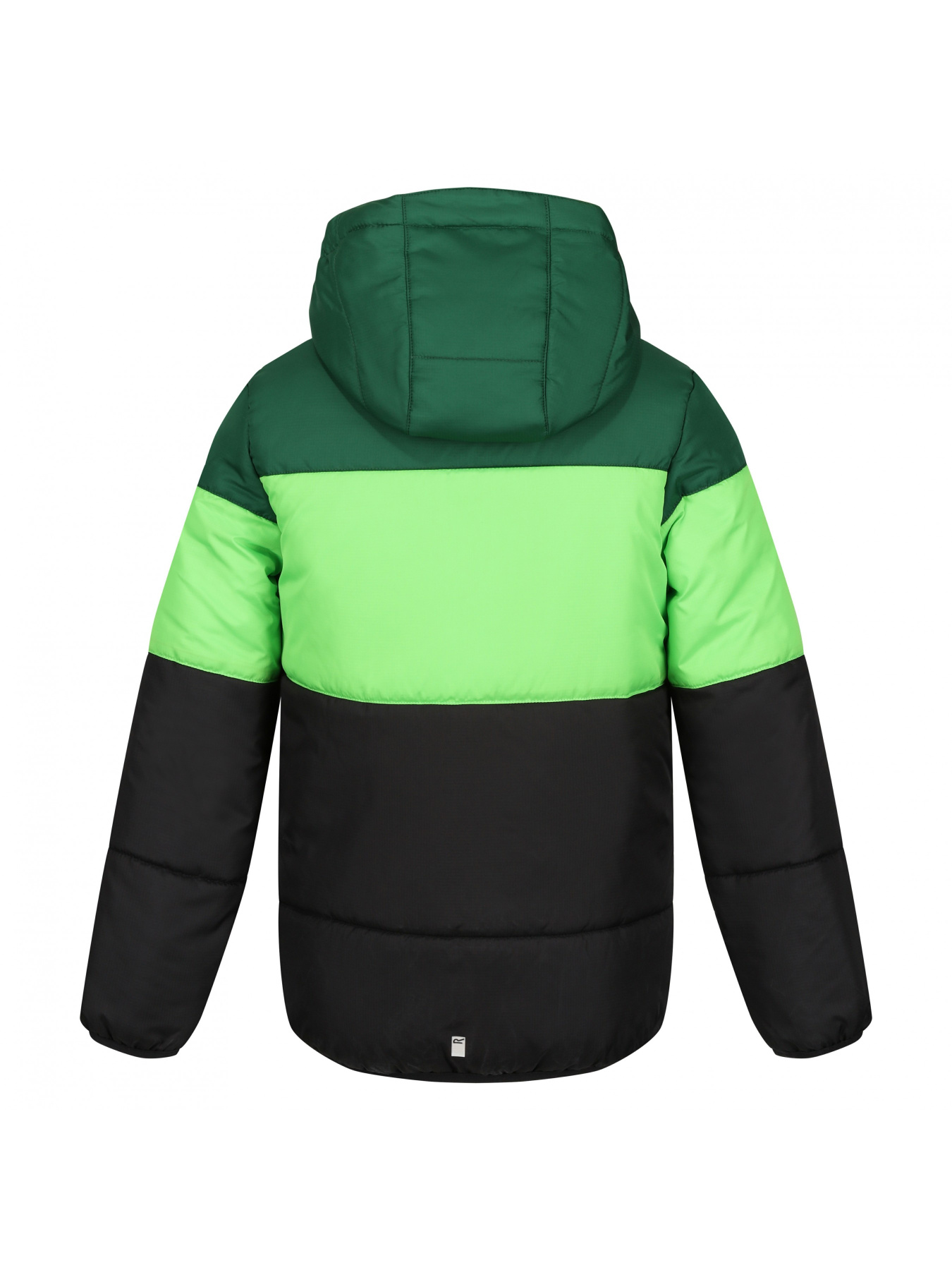 Пуховик Regatta модель RKN144-VZU Пуховик Regatta модель RKN144-VZU Фото