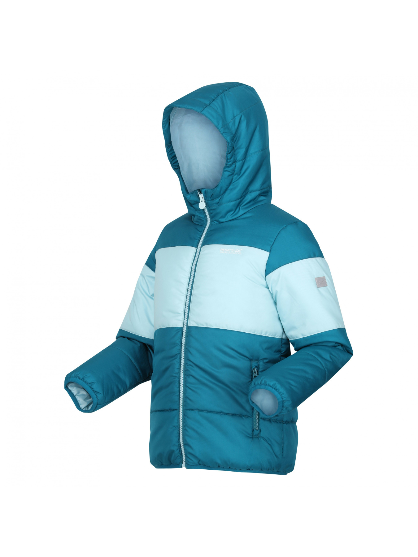 Пуховик Regatta модель RKN144-WPT Фото