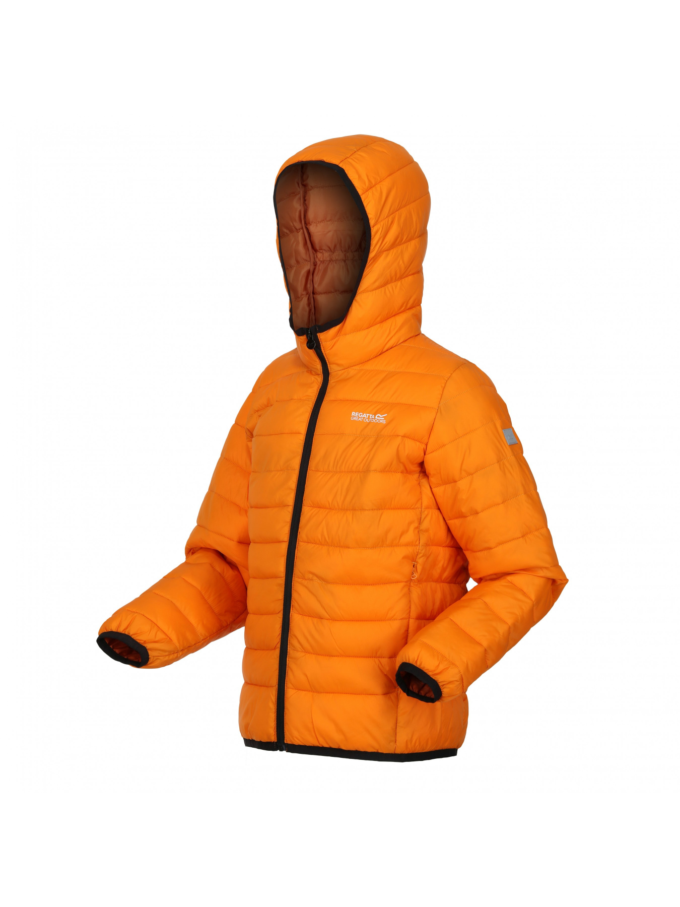 Зимова куртка Regatta модель RKN148-P6Z Фото