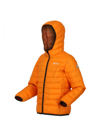 Зимова куртка Regatta модель RKN148-P6Z Фото