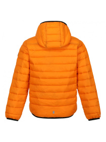 Зимова куртка Regatta модель RKN148-P6Z Фото