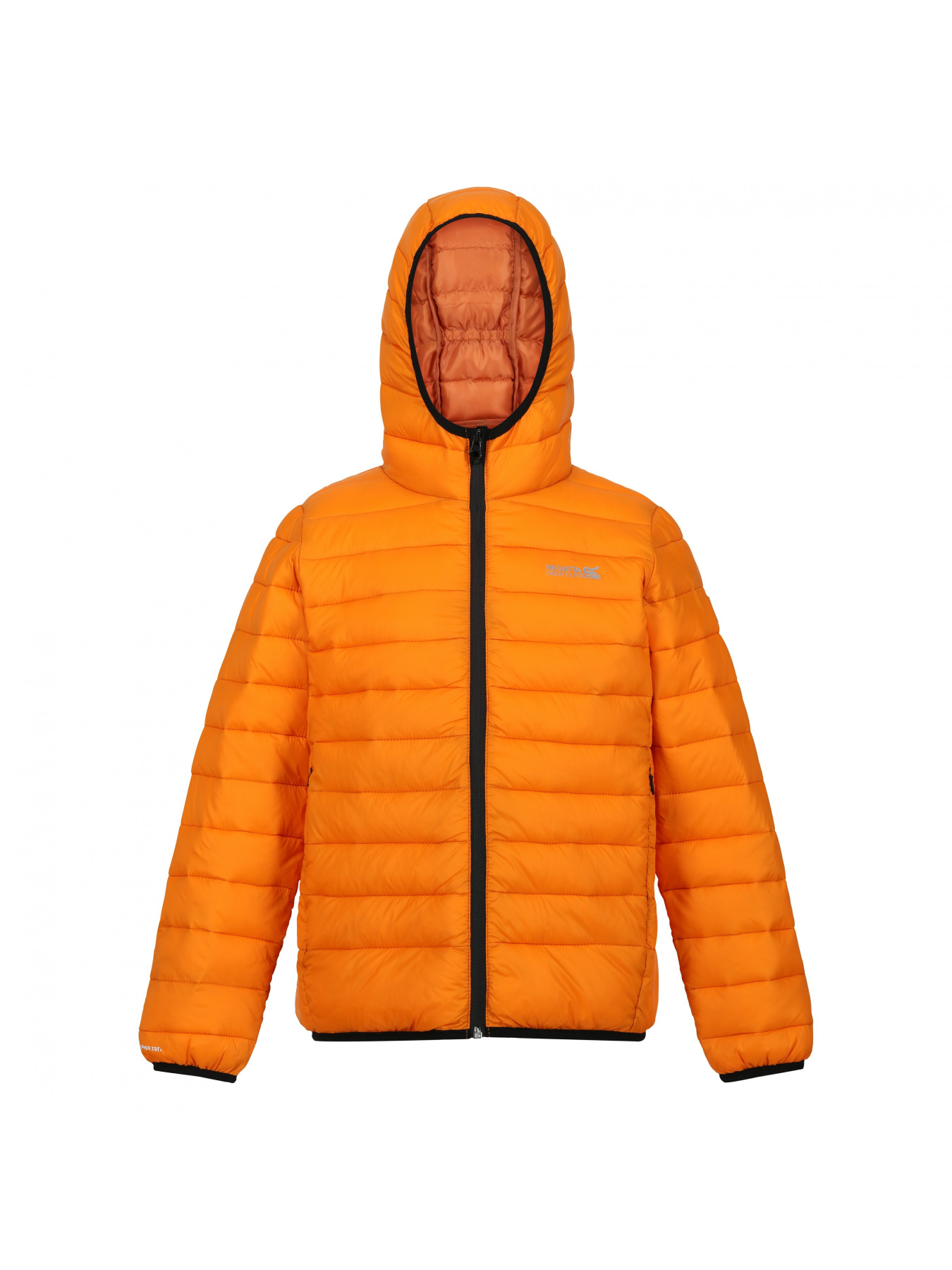 Зимова куртка Regatta модель RKN148-P6Z Фото