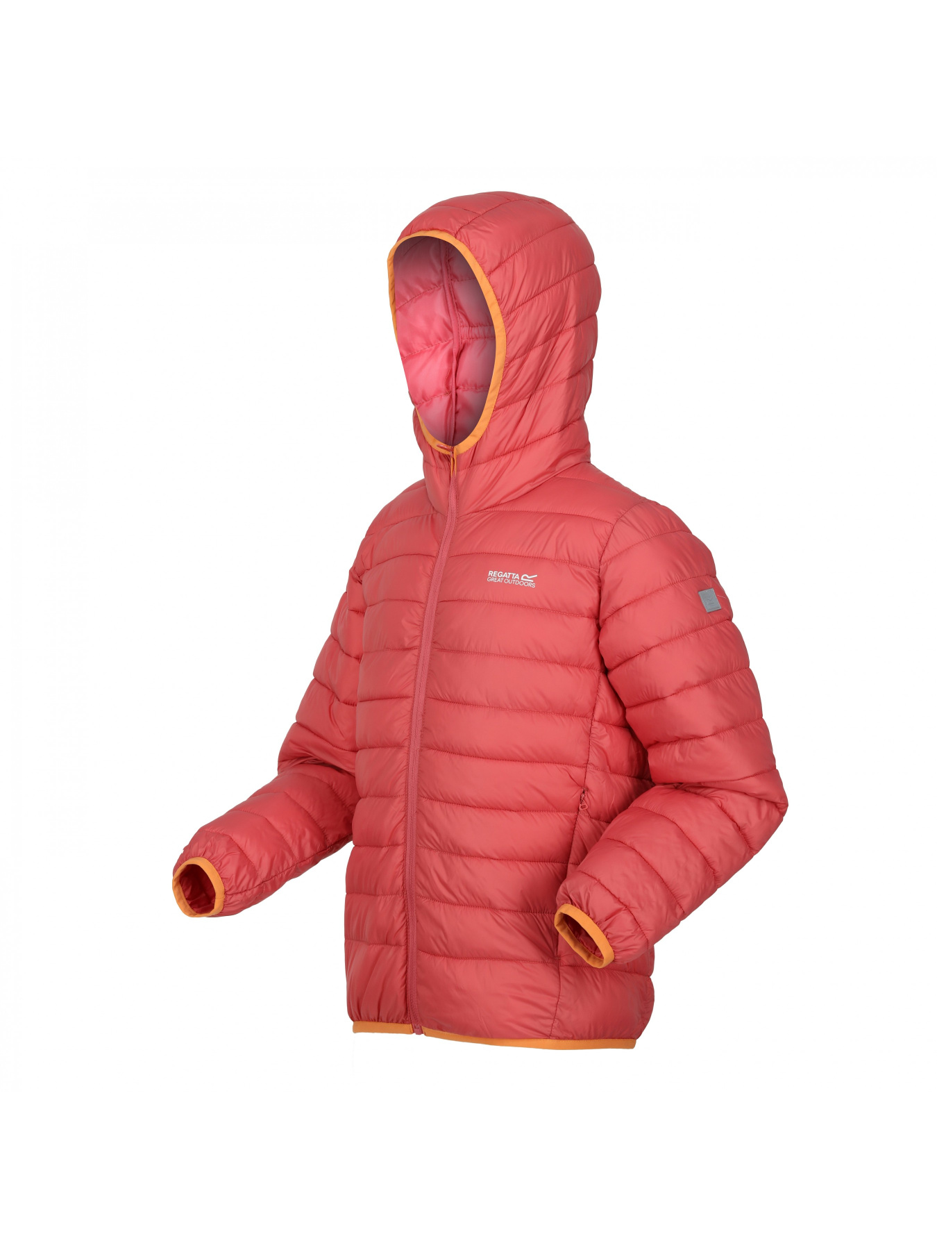 Зимняя куртка Regatta модель RKN148-P8Z Фото