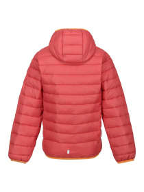 Зимняя куртка Regatta модель RKN148-P8Z Фото