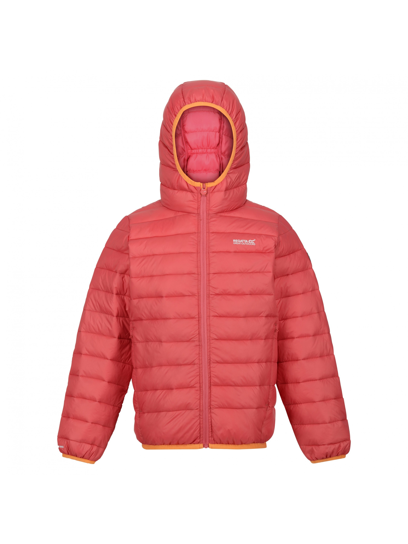 Зимова куртка Regatta модель RKN148-P8Z Фото