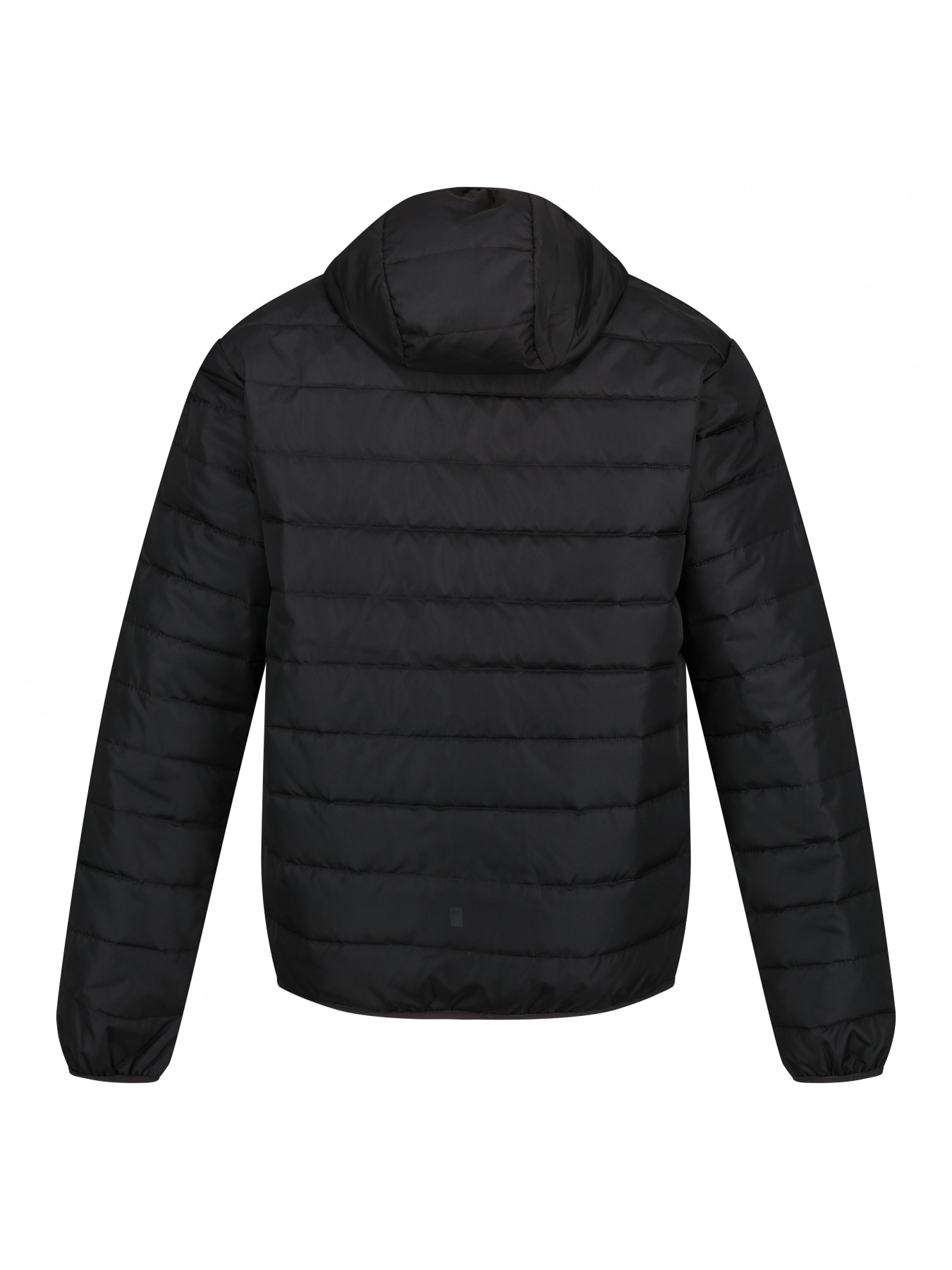 Зимова куртка Regatta модель RMN154-800 Фото