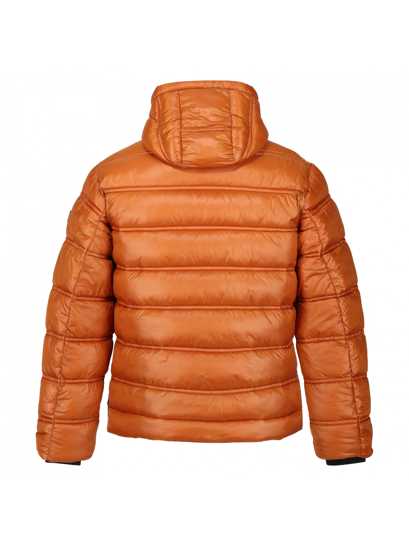 Пуховик Regatta модель RMN224-P9X Фото