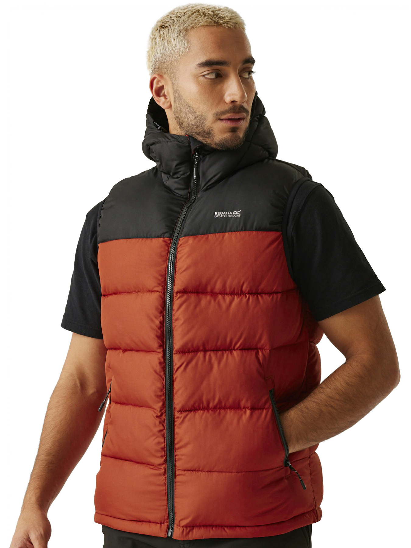 Жилет з утеплювачем Regatta модель RMB119-12N Фото