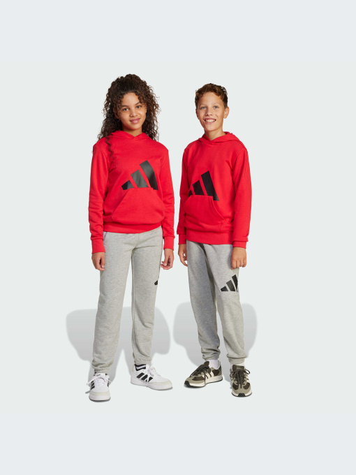 Брюки Adidas модель JD2092-KZ Фото