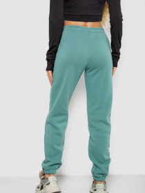 Джоггеры Ager модель У-1133153::000000158 Фото