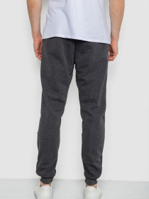 Повседневные штаны Ager модель У-1131445::000000087 Фото