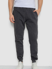 Повседневные штаны Ager модель У-1131445::000000087 Фото