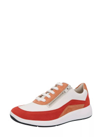 Кросівки Solidus Модель 7 56287 50205 Фото