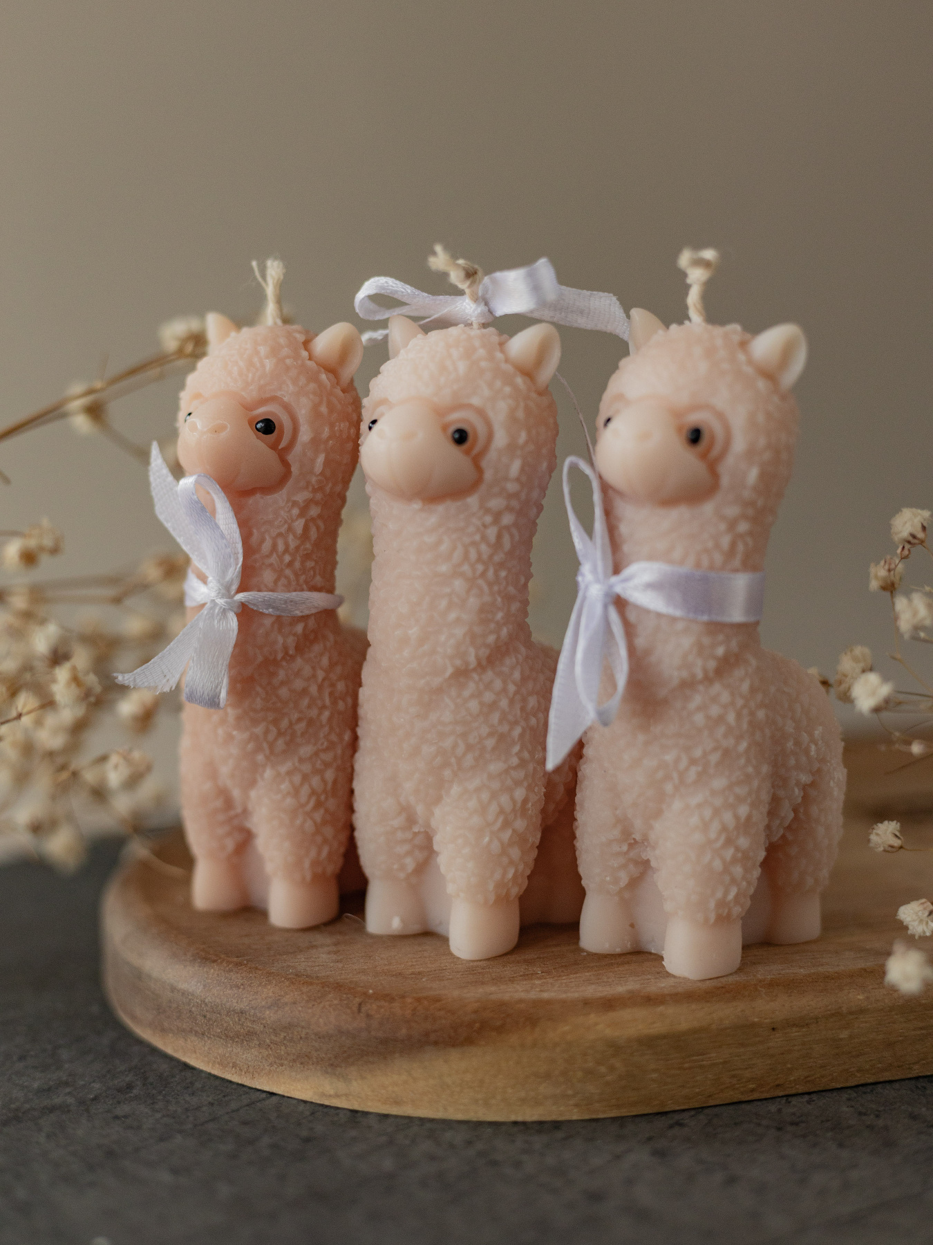 Ароматична свічка "Альпака", аромат - Coffee bean & cacao, з натурального оливкового воску Candle Design модель 140.2004 Ароматична свічка "Альпака", аромат - Coffee bean & cacao, з натурального оливкового воску Candle Design модель 140.2004 Фото