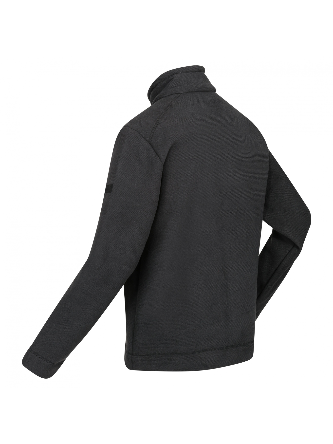 Флісова кофта Regatta Garrianii модель RMA526-043 Фото