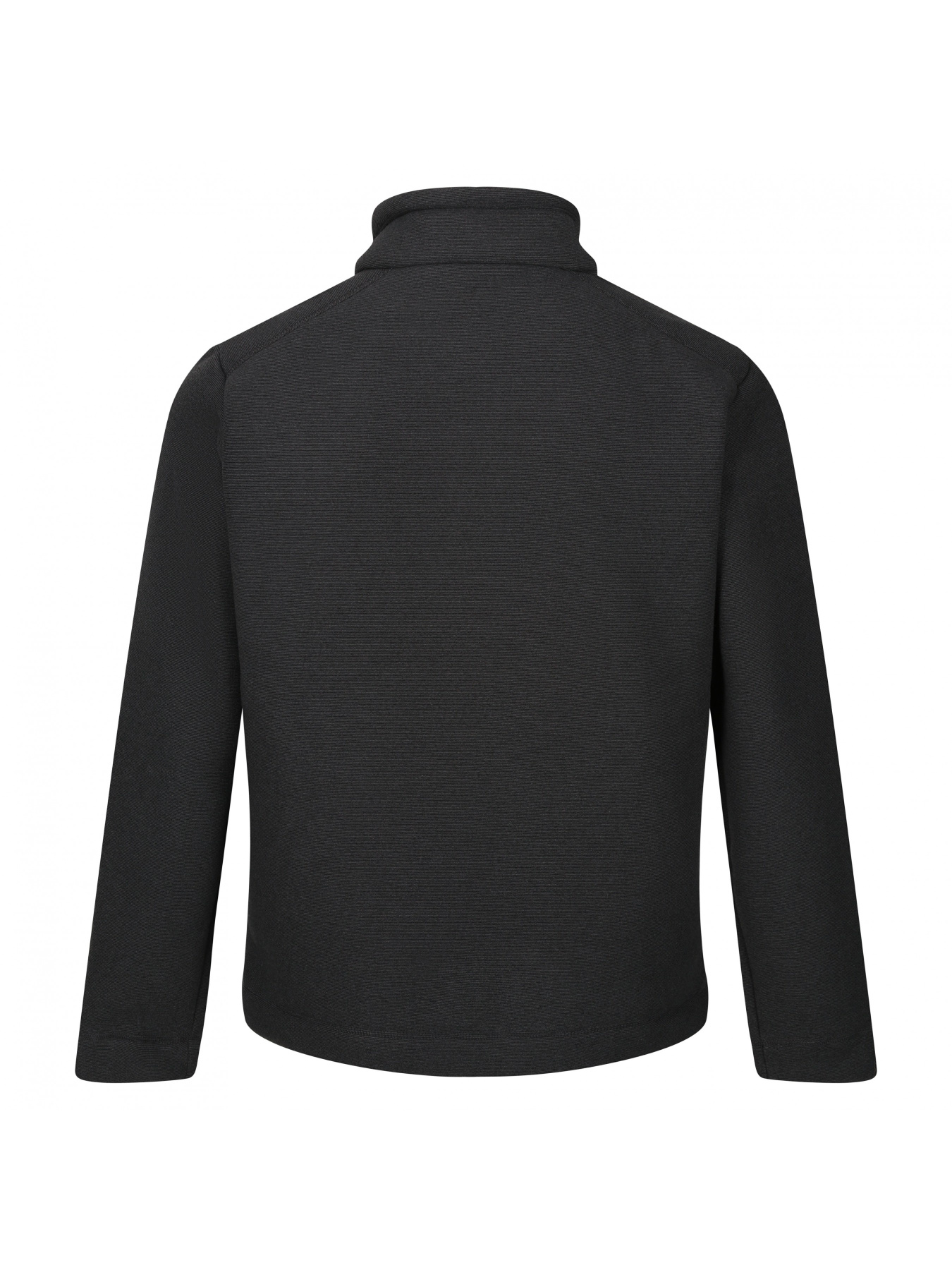 Флісова кофта Regatta Garrianii модель RMA526-043 Фото