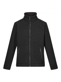 Флисовая кофта Regatta Garrianii модель RMA526-043 Фото