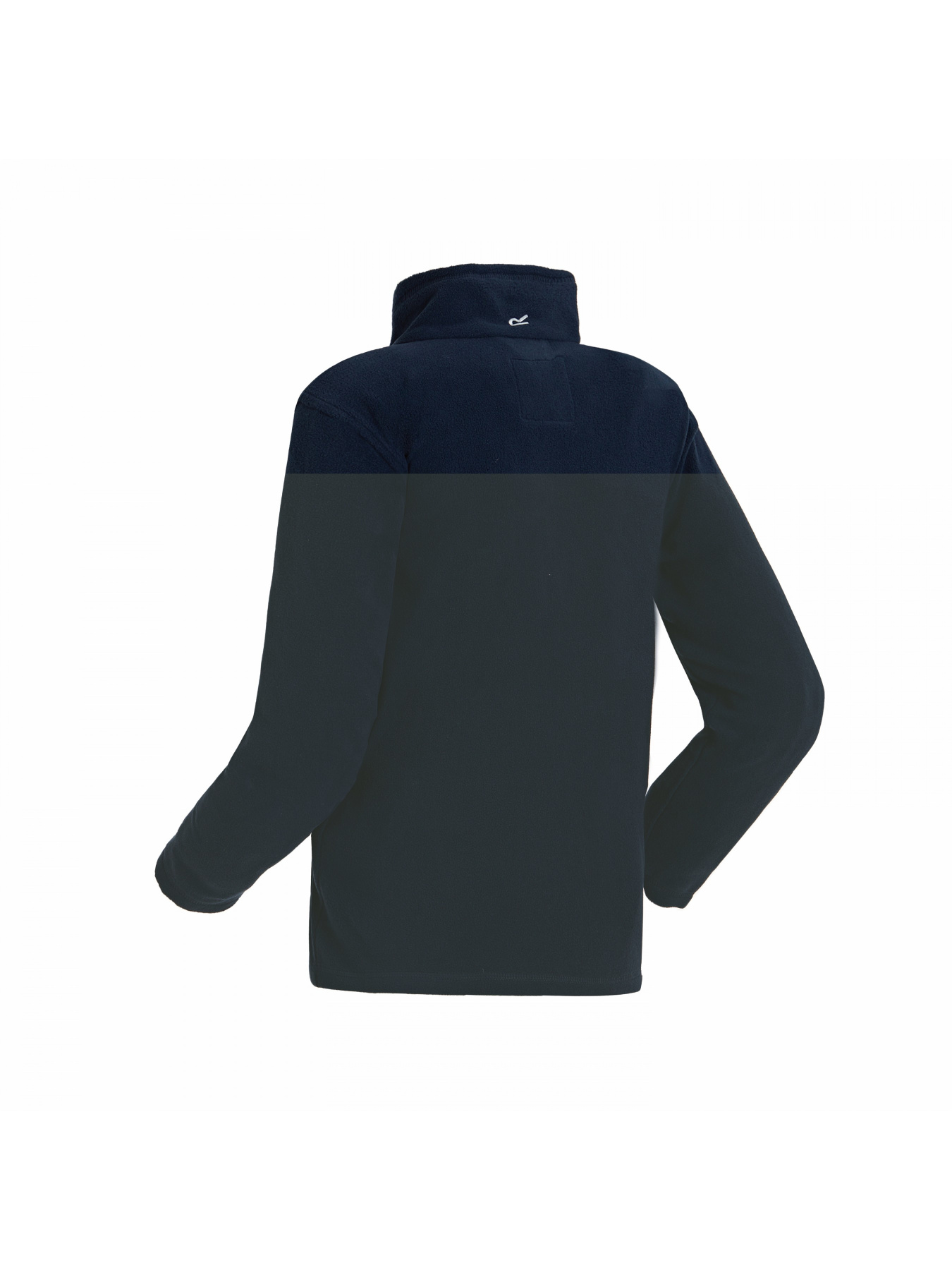 Флісова кофта Regatta Kingii модель RKA147-081 Фото