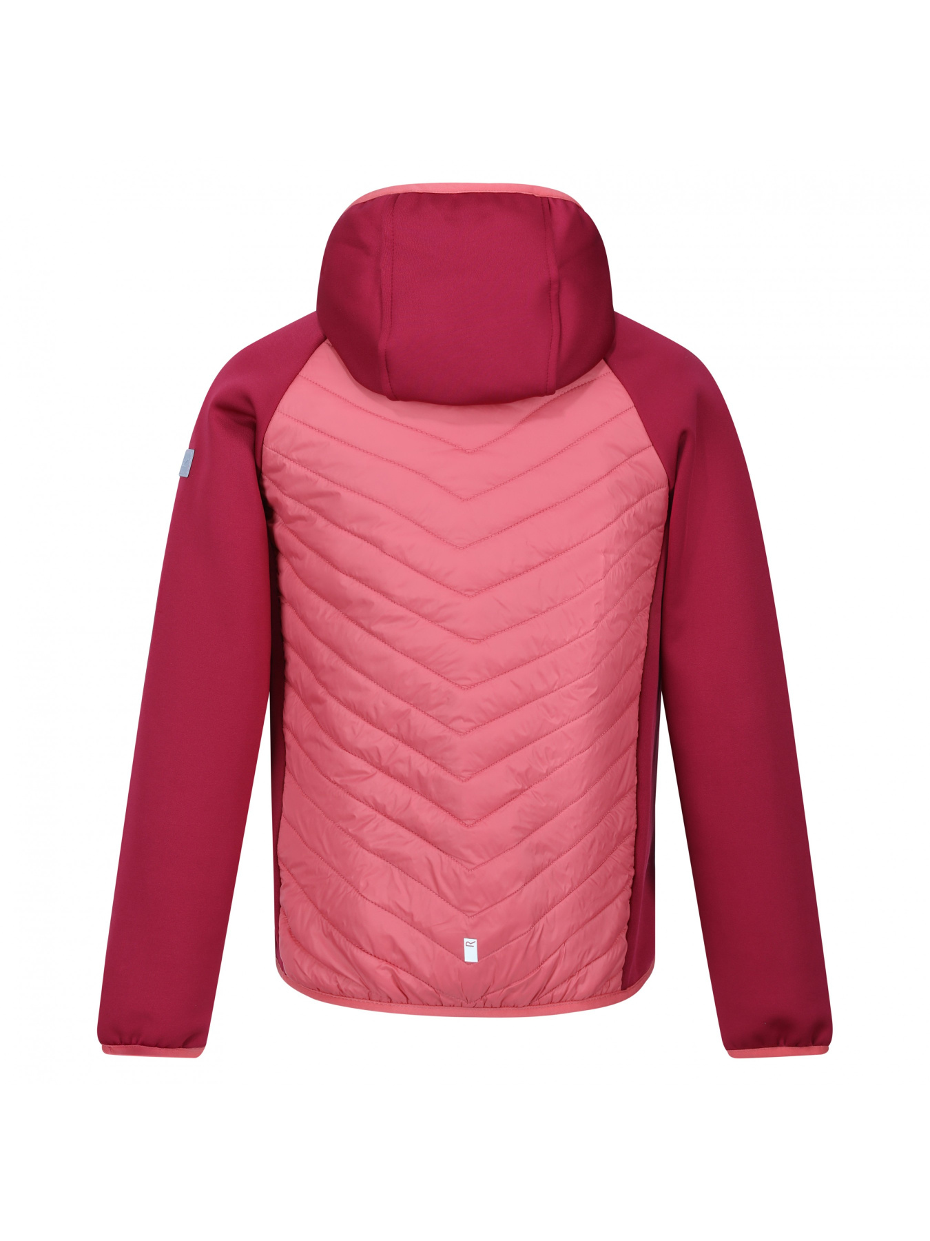 Демісезонна куртка Regatta модель RKN147-B75 Фото