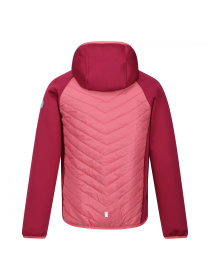 Демісезонна куртка Regatta модель RKN147-B75 Фото