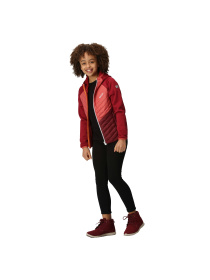 Демісезонна куртка Regatta модель RKN147-B75 Фото