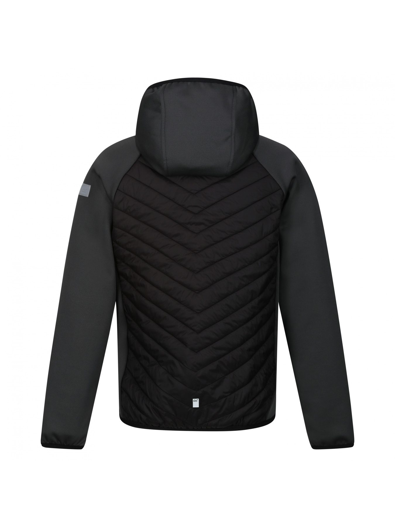 Демісезонна куртка Regatta модель RKN147-T51 Фото