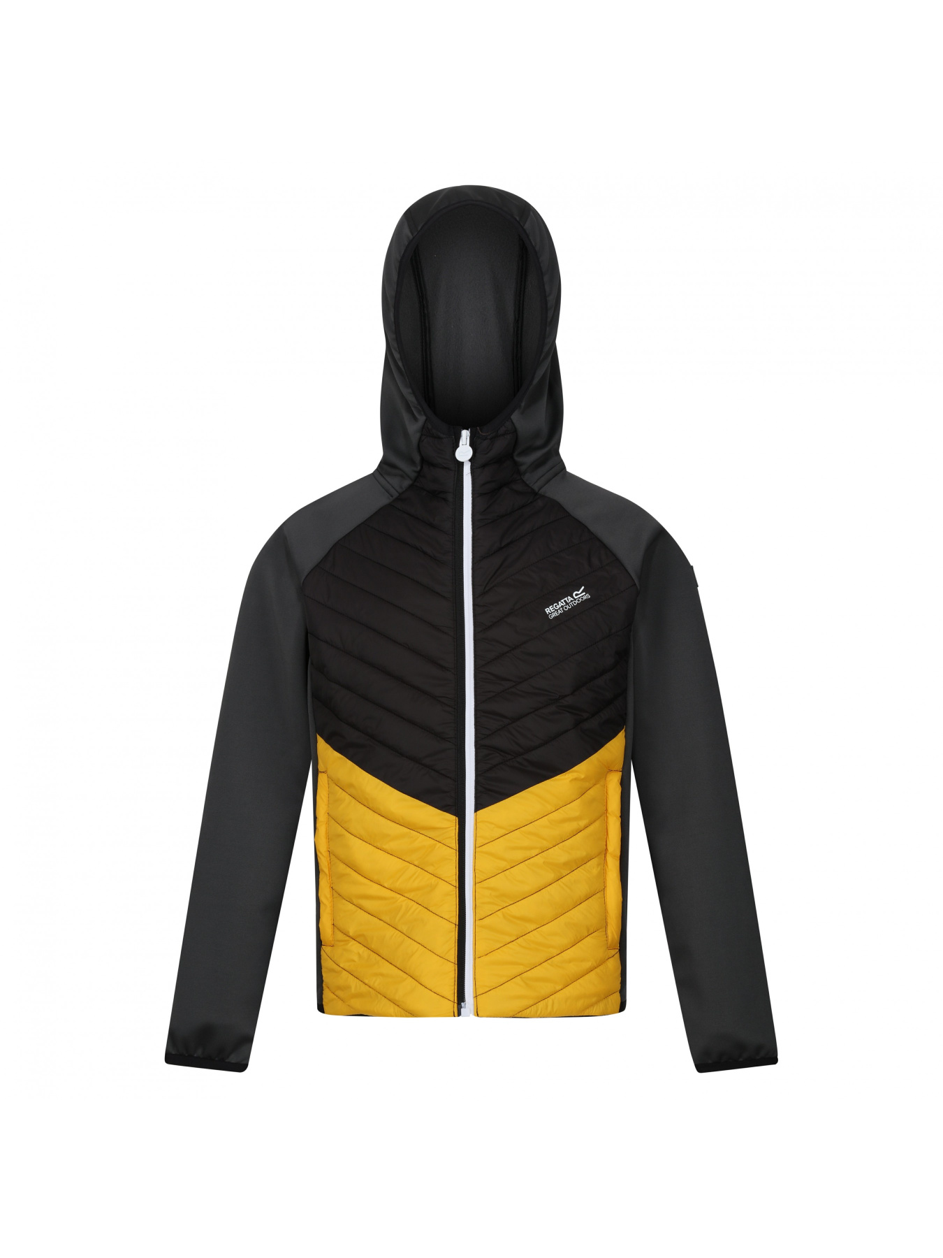 Демісезонна куртка Regatta модель RKN147-T51 Фото