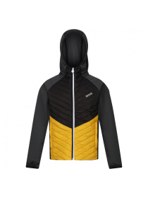 Демісезонна куртка Regatta модель RKN147-T51 Фото