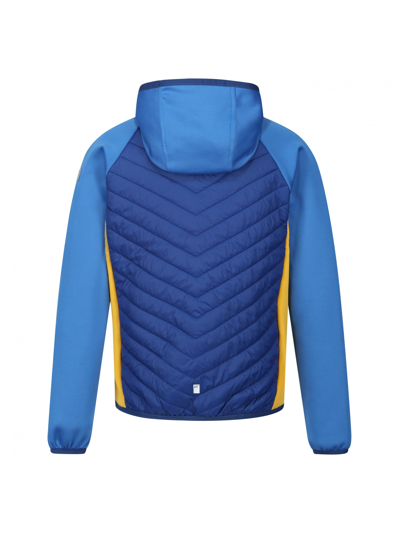 Демісезонна куртка Regatta модель RKN147-USF Фото