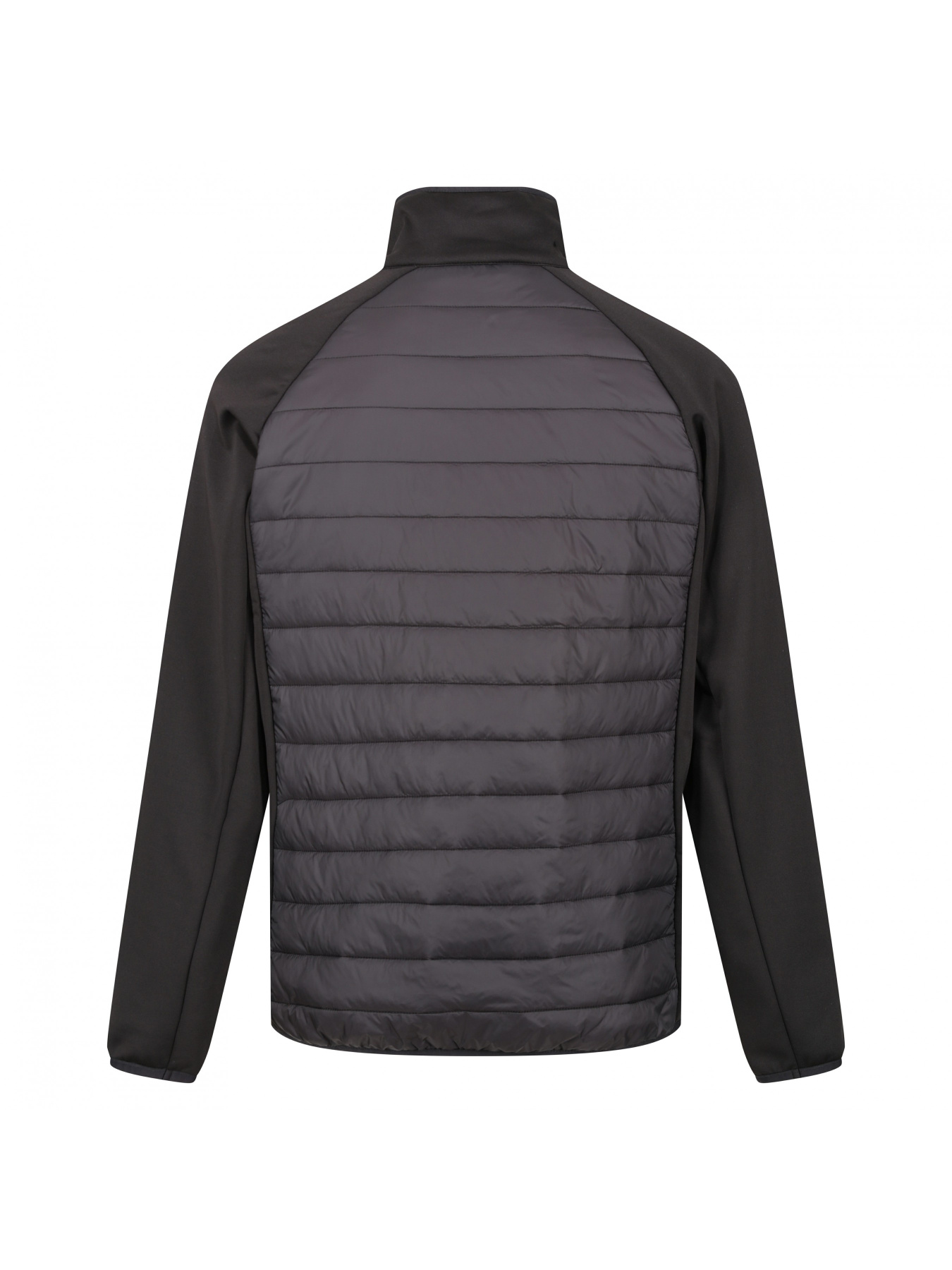 Демісезонна куртка Regatta модель RMN226-800 Фото