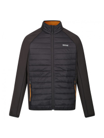 Демісезонна куртка Regatta модель RMN226-LLS Фото