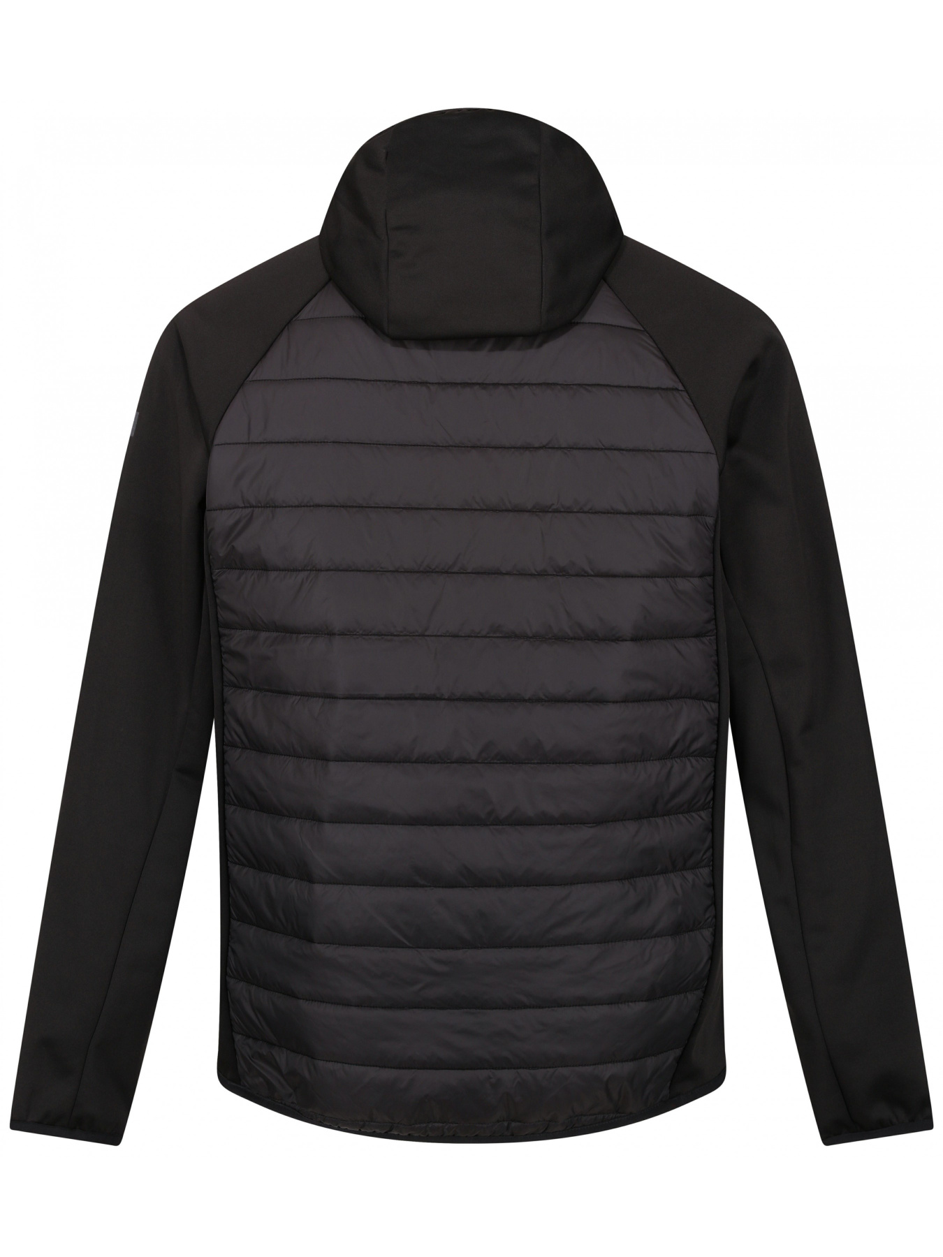 Демісезонна куртка Regatta модель RMN228-800 Фото