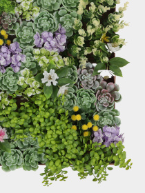 Фитокартина "Тайна" Engard модель FP-48 Фото