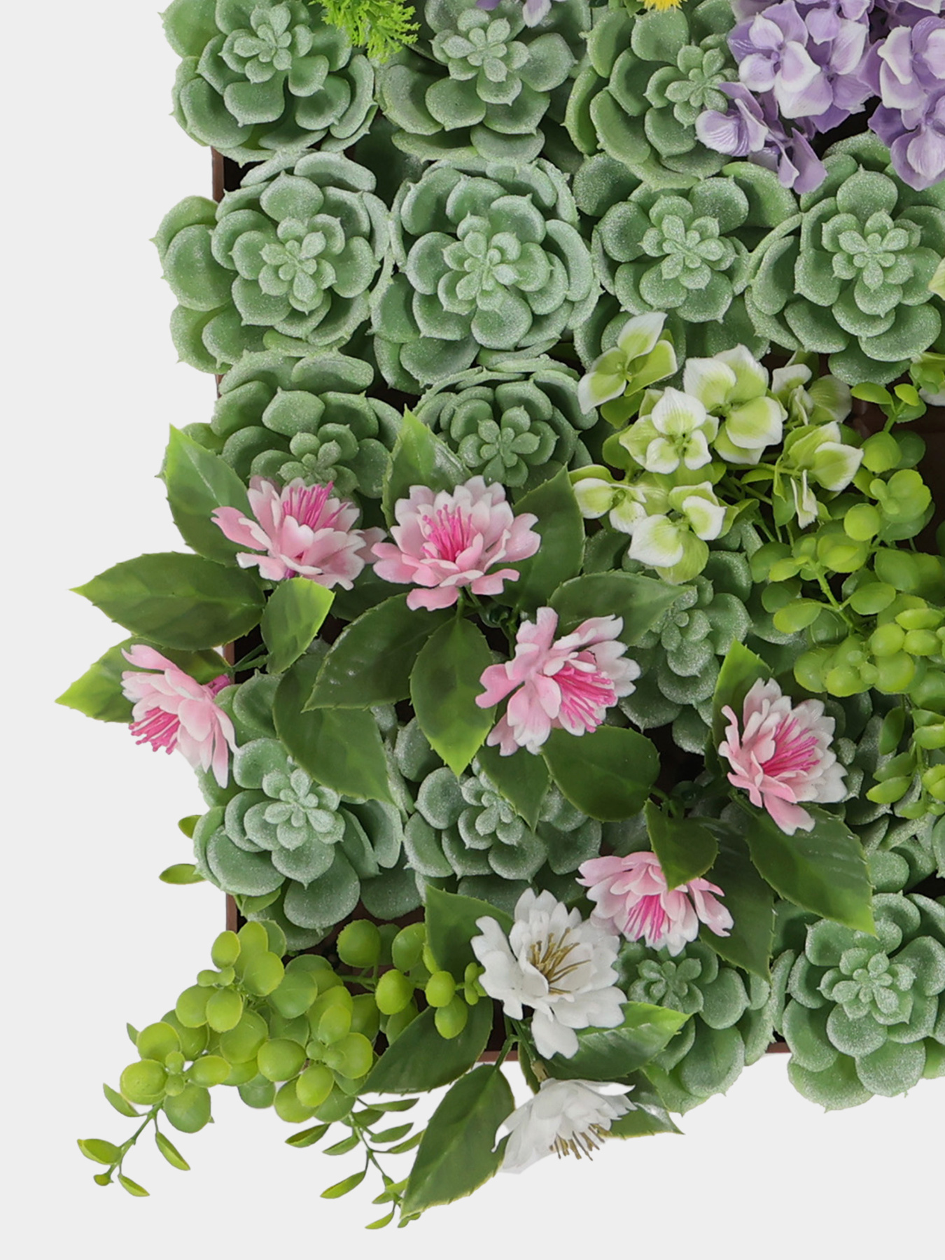 Фітокартина "Таємниця" Engard модель FP-48 Фото